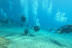 Bautismo de Buceo en Mar (Salou, Tarragona)