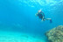 Bautismo de Buceo en Mar (Salou, Tarragona)