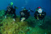 Bautismo de Buceo con Museo Submarino (Lanzarote)