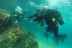 Bautismo de Submarinismo con Reportaje Fotográfico (Ametlla de Mar, Tarragona)