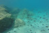 Bautismo de Submarinismo con Reportaje Fotográfico (Ametlla de Mar, Tarragona)