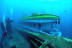 Excursión en Submarino (San Miguel de Abona, Tenerife)