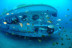 Excursión en Submarino (San Miguel de Abona, Tenerife)