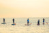 Paddle Surf al Atardecer con Fotos, Instructor y Cerveza (Barcelona)