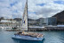Paseo en Catamarán Super Cat con Avistamiento de Delfines, Comida y Banana Acuática (Gran Canaria)