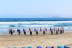 Clase de Surf para Principiantes (Lanzarote, Las Palmas)