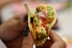 Clase de Tacos y Degustación (Donostia, Guipúzcoa)