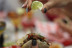 Clase de Tacos y Degustación (Donostia, Guipúzcoa)