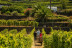 Cata de Vino y Picoteo Gourmet para dos en Bodega Tajinaste (La Orotava, Tenerife)