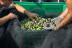 Taller de Apicultura con Degustación de Vino con Miel, AOVE Ecológico y Mieles Ecológicas para dos (Bullas, Murcia)