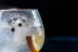 Taller y Cata de Gin Tonic Premium (Barcelona)