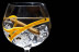 Taller y Cata de Gin Tonic Premium (Barcelona)