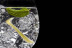 Taller y Cata de Gin Tonic Premium (Barcelona)