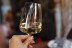 Taller de Cata de Vinos (Madrid)