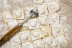 Taller de Cocina a Elegir para dos: Sushi, Pasta, Tailandesa o India (Madrid) 