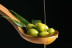 Taller de Cata a elegir (Barcelona)
