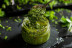 Taller de Pasta Fresca (Madrid)