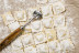 Taller de Pasta Fresca (Madrid)