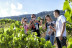 Escapada Relax con Spa "Aquatonic" en Hotel Termes de Montbrió 4*, Visita a Bodega, Cata de Vinos y Comida para dos (Tarragona)