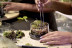 Taller de Terrarios: Crea Tu Propio Ecosistema (Barcelona)