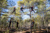 Circuito Multiaventura y Tirolina en Albarracín Aventura (Teruel)