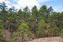 Circuito Multiaventura y Tirolina en Albarracín Aventura (Teruel)