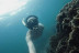 Tour de Snorkel (Fuencaliente de La Palma, Los Canarios)