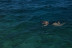 Tour de Snorkel (Fuencaliente de La Palma, Los Canarios)