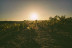 Visita a Tovar Bodega de Bodegas con Cata de Vinos y Aperitivo para dos (Trigueros del Valle, Valladolid)