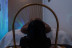 Tratamiento Capilar Serenity Head Spa en Brisa Head Spa Moncloa (Madrid)