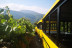 Tour en tren Turístico Aba Sacra y Visita guiada con Cata de vinos para dos en Bodegas Regina Viarum (Lugo)