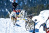 Mushing: 2 Km en Trineo de Perros con Seguro, Spa y Comida (Andorra)