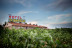 Escapada con Visita a Bodega en Hotel Spa Tudanca Aranda 4* (Aranda de Duero, Burgos)