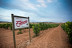Escapada con Visita a Bodega en Hotel Spa Tudanca Aranda 4* (Aranda de Duero, Burgos)