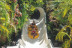 Twin Ticket: Entrada Loro Parque y Siam Park (Tenerife)