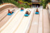 Twin Ticket: Entrada Loro Parque y Siam Park (Tenerife)