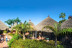 Twin Ticket: Entrada Loro Parque y Siam Park (Tenerife)