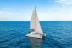 Salida en Catamarán (Barcelona)