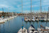 Salida en Velero al Atardecer con Taller de Gin Tonic (Barcelona)