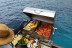 Tour de Día en Velero Histórico Rafael Verdera con Snorkel, Kayak, Paddle Surf y Comida (Palma de Mallorca, Mallorca)