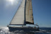 Excursión en Velero Compartido con Avistamiento de Cetáceos, Bebidas y Tapas (Los Gigantes, Tenerife)