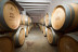 Estenas GastroExperience: Visita a Viñedo y Bodega Vera de Estenas con Cata de Vinos y Comida para dos (Utiel, Valencia)