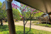 Escapada Glamping en una Eco-Tent de Veragua (Villanueva de la Vera, Cáceres)