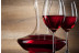 Visita a Bodega Renalterra y Cata de Vino Crianza Ribera del Duero con Aperitivo para dos (Gumiel de Izán, Burgos)