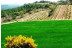 Escapada con Cena en Montsonís Medieval Resort y Visita a Bodega con Cata de Vinos para dos (Lleida)