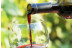 Visita a Bodegas Saavedra, Cata de Vino, Cata de Aceite, Maridaje y Comida para dos (Madrid)