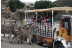 Visita al Safari Serengueti en Selwo Aventura Estepona (Málaga)