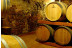 Visita a Celler Vinyes dels Aspres con Cata de Vinos y Degustación a Elegir para dos (Cantallops, Girona)