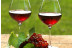 Visita a Celler Vinyes dels Aspres con Cata de Vinos y Degustación a Elegir para dos (Cantallops, Girona)