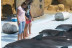 Experiencia con Animales: Visita VIP a Selwo Marina Delfinarium en Exclusiva (Benálmadena, Málaga)